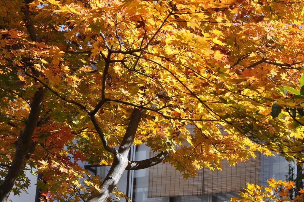 Yudanaka Yumoto Hotell Yamanouchi  Eksteriør bilde